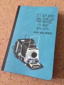 journal for the pedagogical vacation